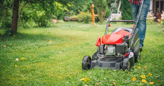 How Often Should You Change The Air Filter On Your Lawn Mower?