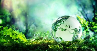 Making a Commitment to Environmental Sustainability