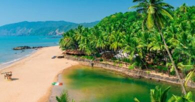 Top 5 Beaches to Visit in South Goa