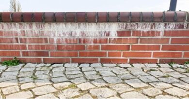 Efflorescence: How to Identify & Fix it?