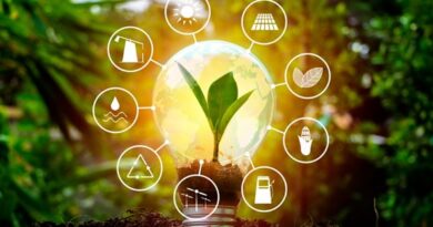 Sustainable Portfolio Management: How Ethical Investors Succeed